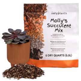 Molly's Succulent Mix - Premium Gritty Soilless Potting Mix for Succulents, Cactus and Bonsai - Contains Akadama, Hyuga, Bark Fines, Pumice, Lava Rock, Mycorrhizae 5 Dry Quarts