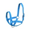 SIE Cattle livestock Cow Halters (Cob, Turquoise)