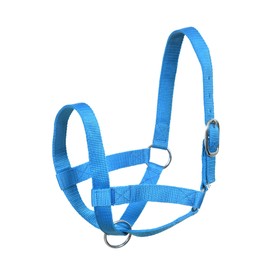 SIE Cattle livestock Cow Halters (Cob, Turquoise)