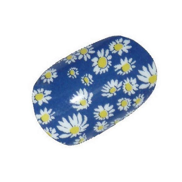 Chix Nails Nail Wraps Blue Yellow White Daisy Flowers Fingers Toes Vinyl Foils Beauty
