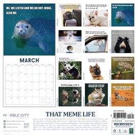 Meme Calendar 2026 | 12" x 24" 12 Month Funny Animal Memes | Marble City Press | Comedy, Gift for Kids, Humor Gifts | 2026-2027