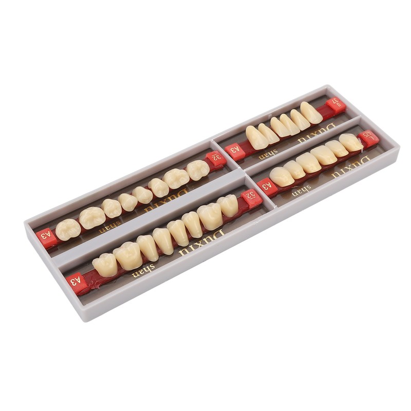 Dental Synthetic Resin Denture Tooth Professional Men Women Shade A3
