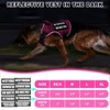 WINSEE Service Dog in Training Mesh Harness with 10 Pet