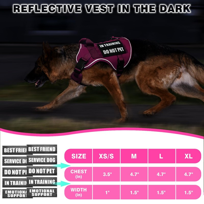 WINSEE Service Dog in Training Mesh Harness with 10 Pet