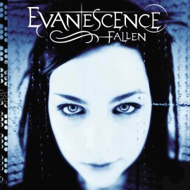 EVANESCENCE Fallen BANNER HUGE 4X4 Ft Fabric album Flag Tapestry