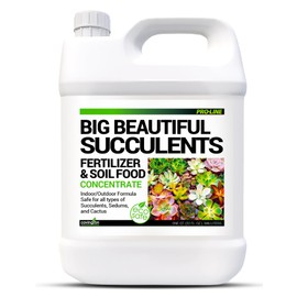 Covington Succulent Fertilizer Liquid (32oz) – Cactus & Succulent Plant Food for Indoor and Outdoor Use – Slow Release Liquid Fertilizer for Houseplants – Made in USA