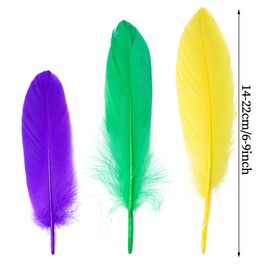 obmwang 150 Pcs 14-22cm Mardi Gras Goose Feathers Bulk Colorful Feathers for DIY Craft Carnival Costume Mardi Gras Party Decorations