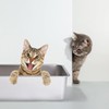 Stainless Steel Cat Litter Box with High Sides - Never