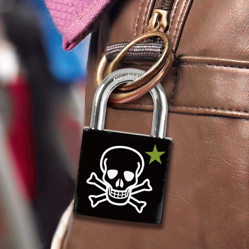 Master Lock 3430EURDSKULL Skull Padlock, Key Type, Small, Print, Main
