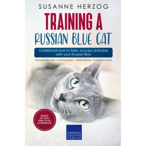 Training a Russian Blue Cat – Guidebook how to train,