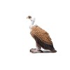 Schleich Vulture Figure Realistic Animal Toy For Imaginative Play Ages