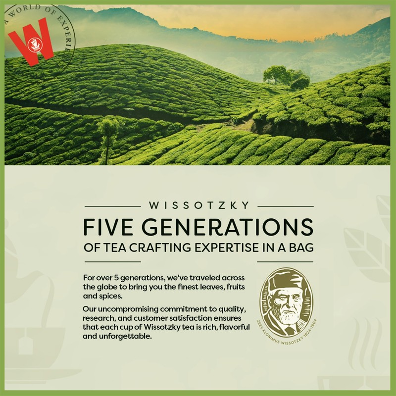Wissotzky Nana Mint Black Tea, (6 Pack - 120 Tea
