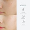 Dr.Althea [Dr.Althea]Last Minute Skin Rescue Anastatica Mask (30ea)