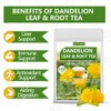 ULTHMOK Premium Dandelion Root & Leaf Tea,100 Tea Bags/7.06Oz,for Liver