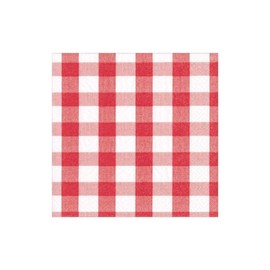 Caspari Gingham Paper Cocktail Napkins in Red, 20 Per Package