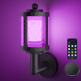 XMCOSY+ Outdoor Wall Lights, 1100LM LED Outdoor Light Fixture for House, Smart RGBCW Black Exterior Wall Lighting, WiFi APP Control, Works with Alexa, IP65 Waterproof Porch Lights Wall Lanterns (1PK)