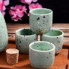 Large Sake 5-Piece Set, Durable Japanese Sake Ceramic Set Featuring