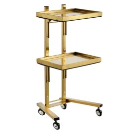 2-Tier Gold Salon Trolley with Double Storage Tray Stainless Steel for Beauty Spa Usecolor: as picture Color