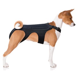 NeoAlly Dog Back Brace for Dogs Arthritis, IVDD, Spinal Surgical Recovery, and Back Disease Prevention (Large)