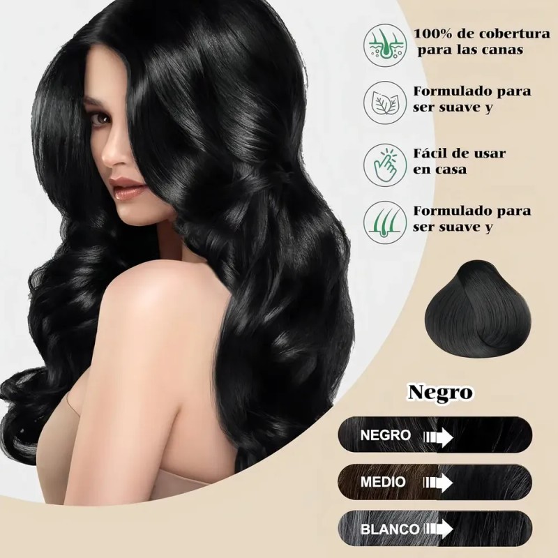 Shampoo Para Canas 500ml Natural Jengibre Tinte Cubre Canas