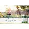 Gotu Kola Centella Asiatica Capsulas 1500mg Apoyo Cerebral