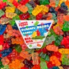 Bears Gummy Candy, Assorted Fruit Flavored (1 Pound Bag)