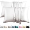 WLOSJ 100% Silk Pillow Cases 2 Pack Queen Size Mulberry