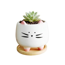 Cuteforyou Succulent Pots,Cute Animal Shaped Cartoon Ceramic Succulent Cactus Flower Planters -Plant Not Included (Small Cat)