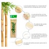 90 Brochetas de bambu, Palillos con punta Palo 30 cm