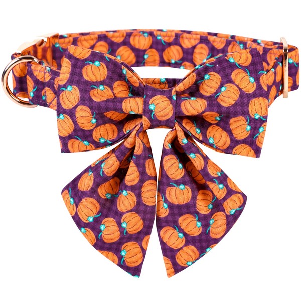 Lionet Paws Halloween Dog Collar with Bowtie, Bowtie for Dogs