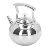 Stainless Steel Teapot Tea Kettle with Removable Filter High Temperature