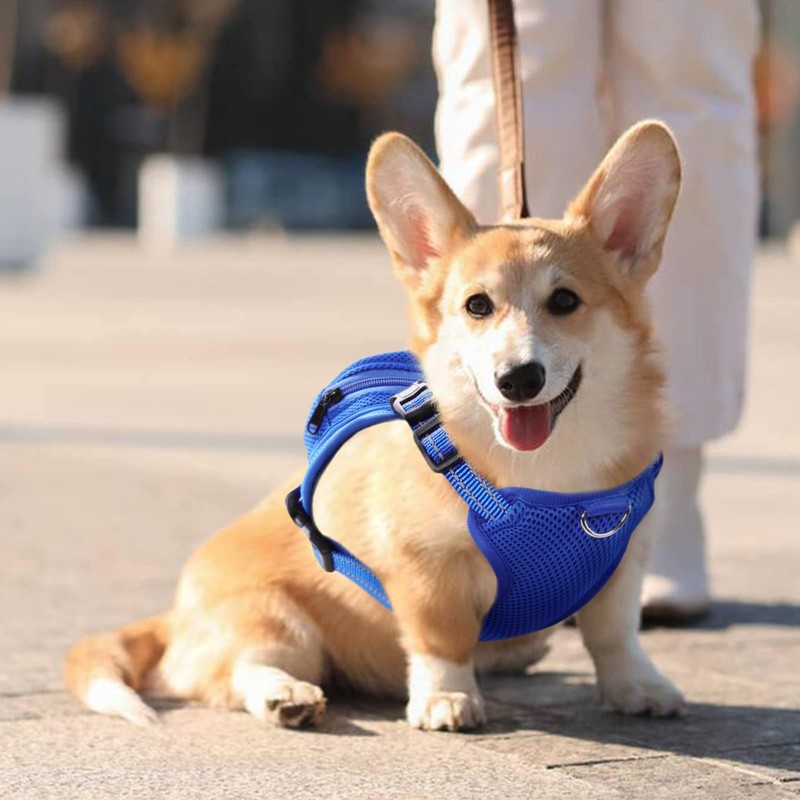 IDOMIK Dog Backpack Harness, No-Pull Dog Backpack with D-Ring for