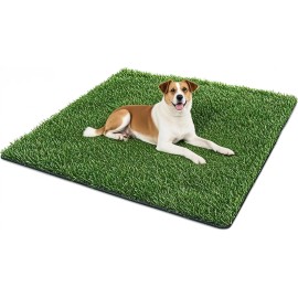 SSRIVER Dog Grass Pad,50.1x30.5I