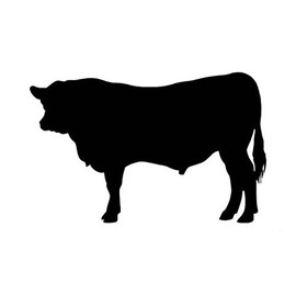 Ranger Products Angus Cow Bull Cattle Decal Sticker, Die Cut Vinyl Decal for Windows, Cars, Trucks, Tool Boxes, laptops, MacBook - virtually Any Hard, Smooth Surface