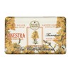 Nesti Dante 6642-02 Dei Colli Fiorentini Ginestra / Gorse Soap