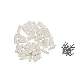 Replace Teeth Whole Set 32 PCS Spare Teeth for YOUYA DENTAL TM-021 Teeth Model for Learning Installing Teeth Model