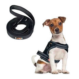 Pechera Arnes + Correa para Perro Grande Mediano Chico | Pechera Ajustable Antitirones Resistente para Paseo Entrenamiento | Correa con Mango de Control (Negro, Chica)