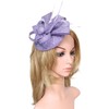 Biruil Fascinators Hat for Women Girls Sinamay Flower Feathers Tea