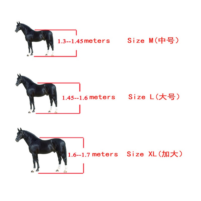 2 Pcs Horse Tendon Boots Set Soft Prevent Slip Cushioning