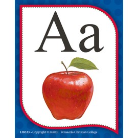 Mini Alphabet Flashcards - Abeka Kindergarten 1st and 2nd Grade 1, 2 Letter Recognition Reading Program Miniture Letter Cards