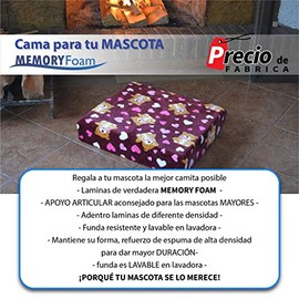 Cama para Perro en viscoelastica Memory Foam con Funda Lavable (Chica 45x50x10 cm, Alice Café)                                                        