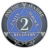2 Year AA Coin Silver Color Plated-Medallion, Recovery Chip, 12