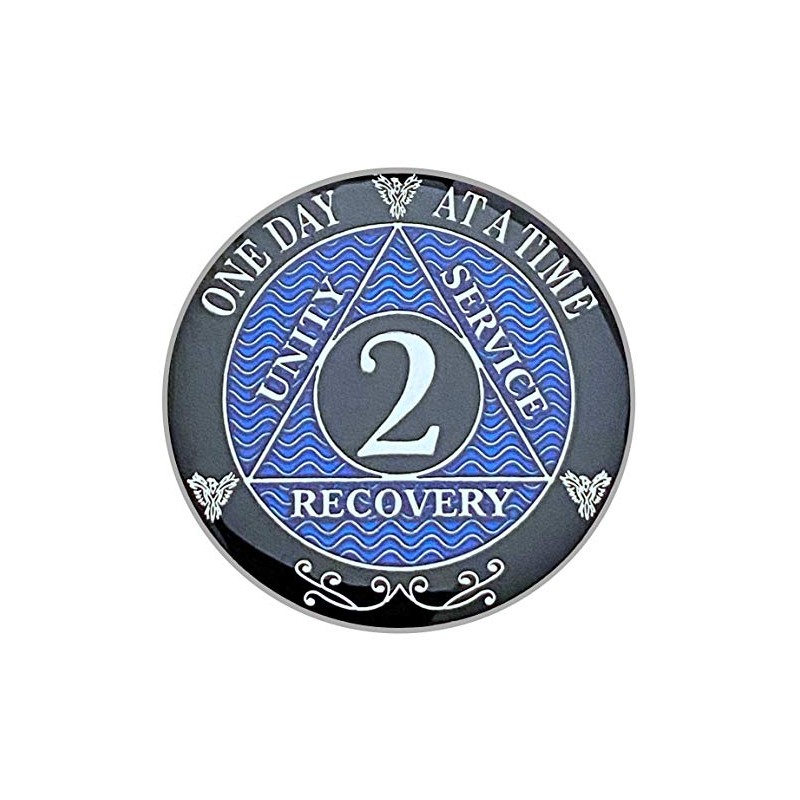 2 Year AA Coin Silver Color Plated-Medallion, Recovery Chip, 12