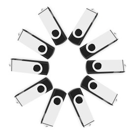 10 Pack 2GB USB Flash Drive Bulk Pack, Bulk USB 2.0 Flash Drives Thumb Drive Swivel Memory Stick Jump Drive Pen Drive Zip Drive