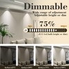 Chinnor E11 Led Bulb 75w 100w Equivalent Dimmable,Daylight 6000K,T3 T4