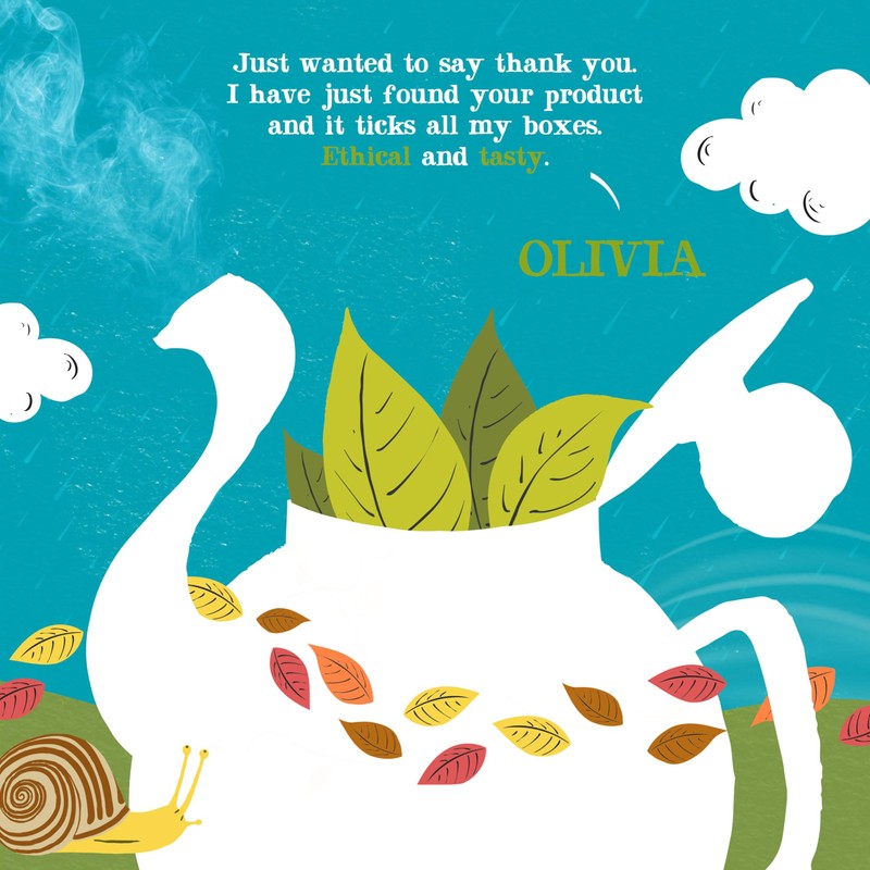 Clipper Tea, Organic Fairtrade Everyday, Organic, USDA Non-GMO, Fair Trade,