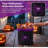 Halloween Trick or Treat Basket, Black