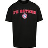 FC Bayern Munich Men's T-Shirt FC Bayern & Seal Black