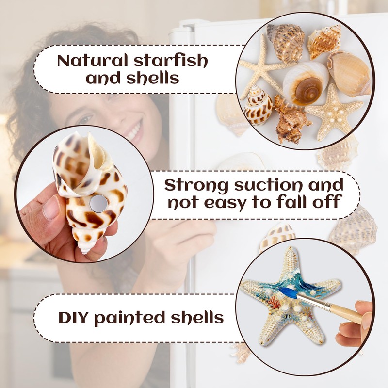 Natural Seashell Fridge Magnets 8PCS, Starfish Shell Refrigerator Magnets