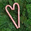 JUTOSU Christmas Ornaments Christmas Tree Decorations Christmas Plastic Candy Canes